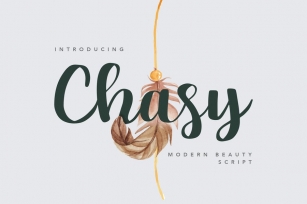 Chasy Beauty Script Font Font Download