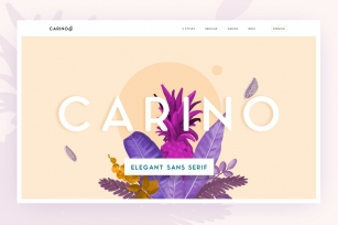 Carino - A Modern Elegant Typeface Font Download