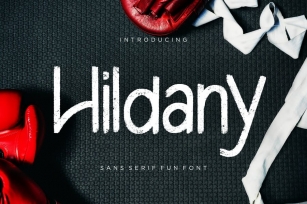 Hildany Sans Fun Font Font Download