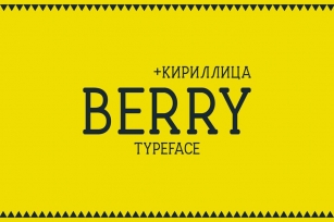 Berry Typeface Font Download