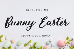 Bunny Easter - Script Handcrafted Font Font Download