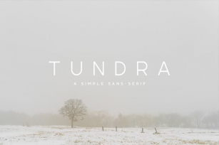 Tundra Typeface Font Download