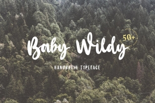 Baby Wildy Font Download