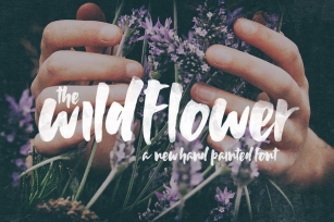 Wildflower Font Font Download