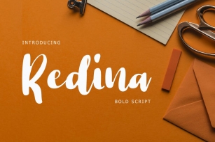 Redina Bold Script Font Font Download