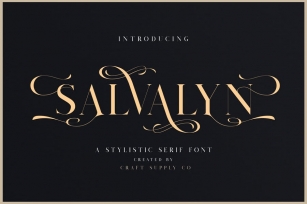 Salvalyn - Stylistic Serif Font Font Download