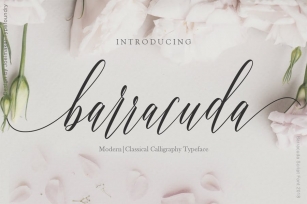 Barracuda Script Font Download