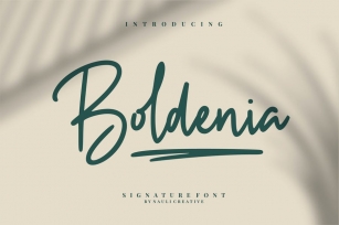 Boldenia - Bold Handwriting Signature Font Font Download