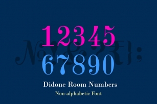 Didone Room Numbers Display Font Family Font Download
