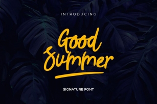 Good Summer Handwritten Script Font Download