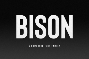 Bison Font Family Font Download