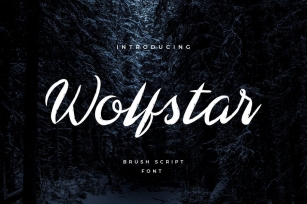 Wolfstar Modern Script Handwritten Font Font Download