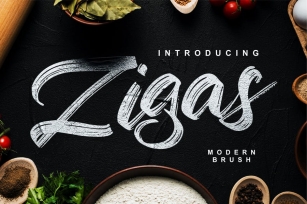Zigas | Modern Brush Font Font Download