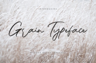 Grain Typeface Font Download