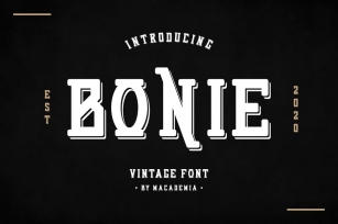Bonie - Vintage Font Font Download