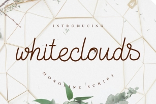 Whiteclouds Monoline Script Font Font Download