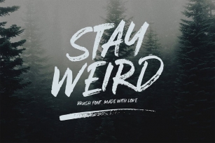 Stay Weird - Brush Font + Swashes Font Download