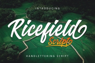 Ricefield - Script RS Font Download