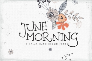 June Morning Font Font Download