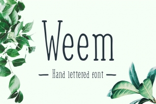Weem Hand Lettered Font Font Download