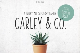 Skinny Font family Carley & Co. Font Download