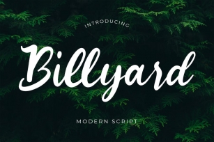 Billyard Modern Script Font Font Download