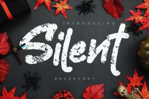 Silent | Decorative Brush Font Font Download