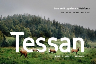 Tessan Sans - Modern Typeface + WebFont Font Download