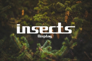 insects Display Font Download