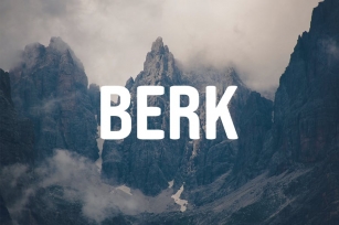 BERK - Unique Display / Headline Typeface Font Download