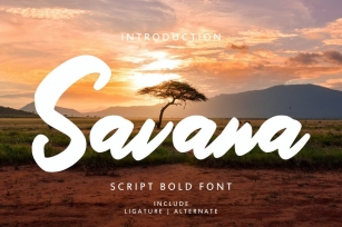 Savana - Script Bold Font Font Download