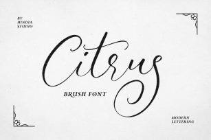 Citrus Font Download