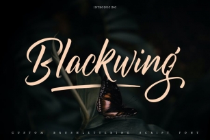 Blackwing | Custom Brush Lettering Script Font Font Download
