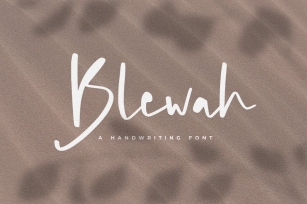 Blewah - A Handwriting Font Font Download