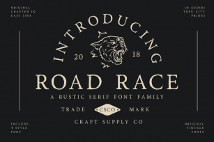 Road Race Font Family Font Download