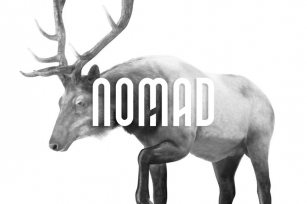 NOMAD - Unique Display / Monogram / Logo Typeface Font Download