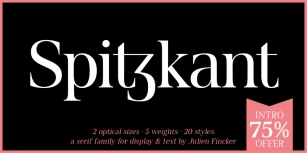 Spitzkant Font Download