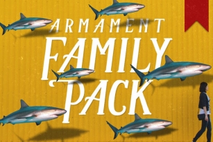 Armament Family Font Download