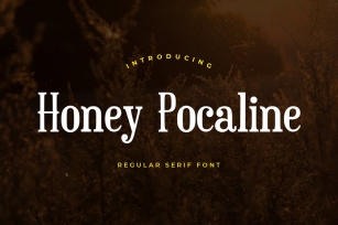 Honey Pocaline Serif Font Font Download