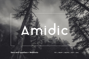Amidic - Modern San-serif Typeface + WebFont Font Download