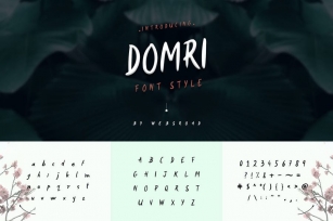 Domri - Fresh Handwritten Font Style Font Download