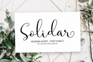 Solidar Font Family Font Download