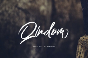 Qindom Brush Fonts Font Download