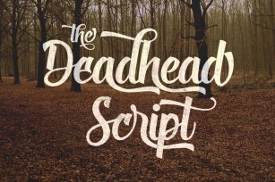 Deadhead Script Font Download