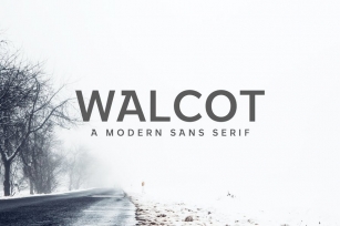 Walcot Modern Sans Serif Font Font Download