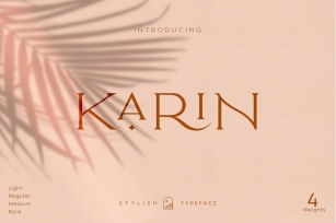 Elegant Karin - Fashion Stylish Typeface Font Download
