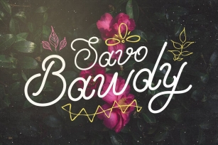 Savo Bawdy - Cursive Typeface Font Download