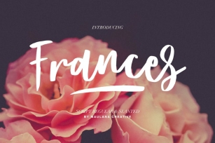 Frances Modern Font Font Download