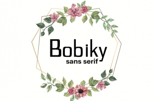 Bobiky Font Download