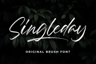 Singleday - Brush Font Font Download